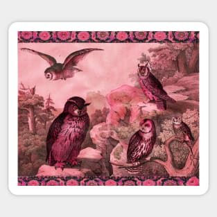 OWLS IN WILD NATURE IN RED PINK HUES Antique Animal Drawings Sticker